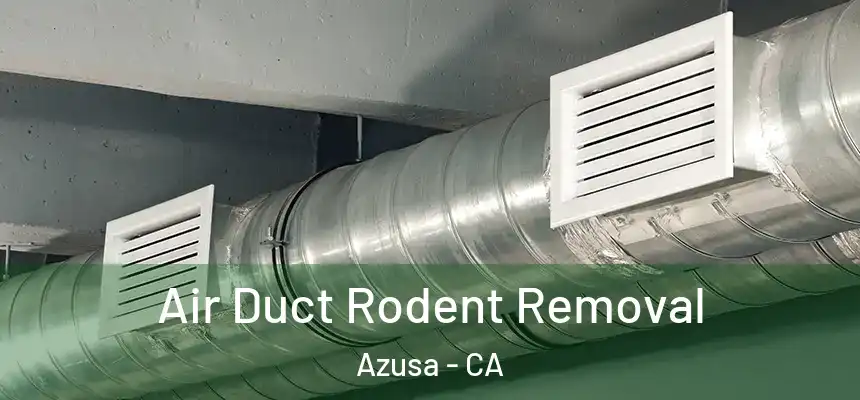 Air Duct Rodent Removal Azusa - CA