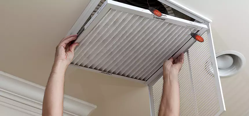 Our Insect Removal from Air Ducts Services in Azusa, CA