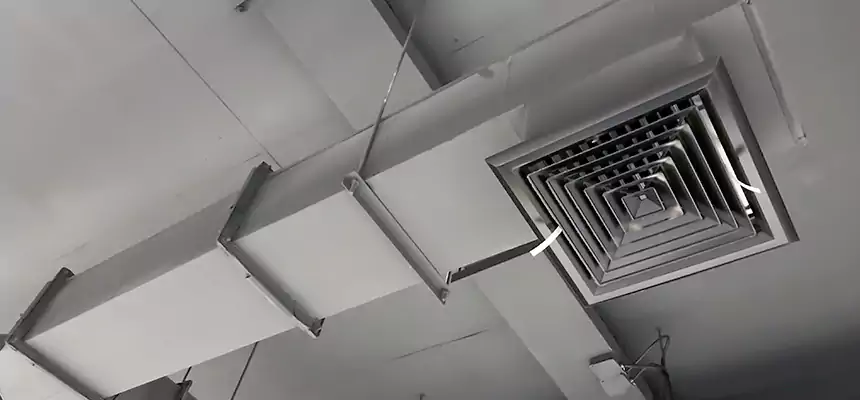 Our Rodent Droppings In Vents Services in Azusa, CA