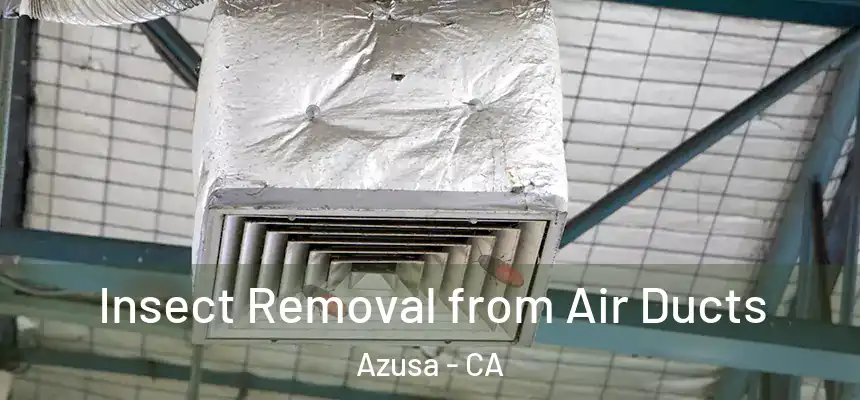 Insect Removal from Air Ducts Azusa - CA
