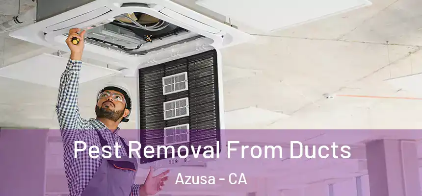  Pest Removal From Ducts Azusa - CA