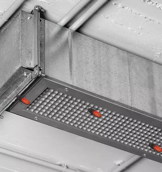 About Air Duct Cockroach Removal in Azusa, CA