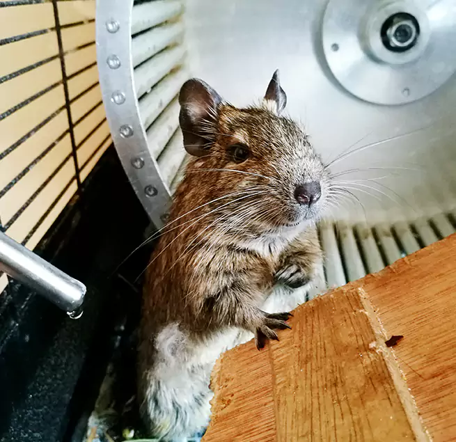 Why Homeowners & Businesses Trust Us Azusa, CA