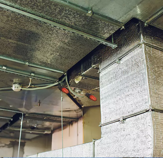 Why Homeowners & Businesses Trust Us Azusa, CA?